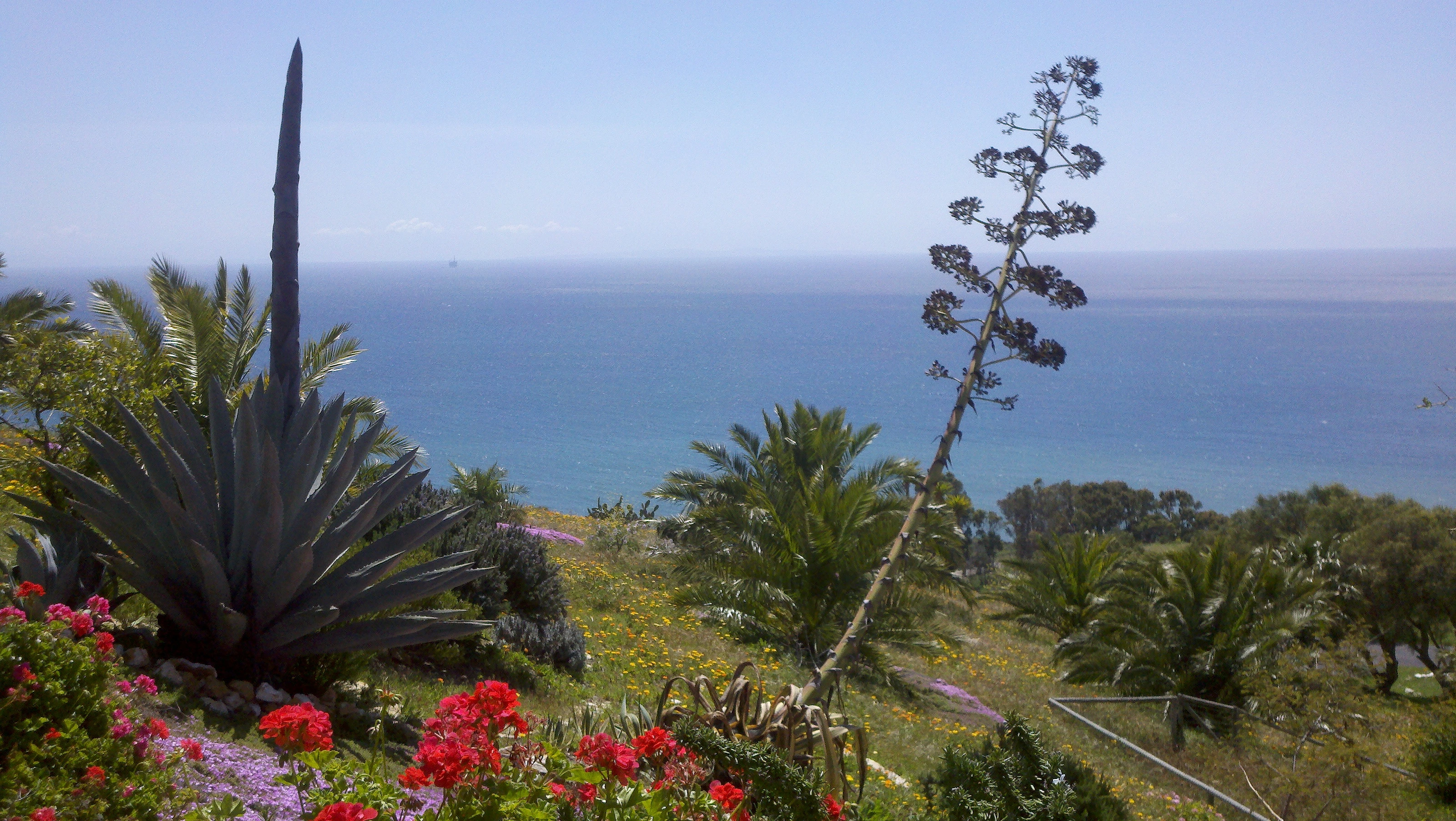 View of the Pacific from Hollister Ranch's coastal bluffs